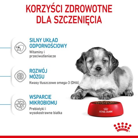 ROYAL CANIN SHN Medium Puppy - sucha karma dla szczeniąt - 4kg ROYAL CANIN SHN Medium Puppy - sucha karma dla szczeniąt - 4kg