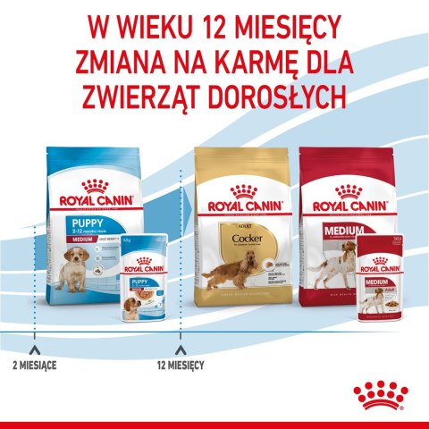 ROYAL CANIN SHN Medium Puppy w sosie - mokra karma dla szczeniąt - 10X140g ROYAL CANIN SHN Medium Puppy w sosie - mokra karma dla szczeniąt - 10X140g