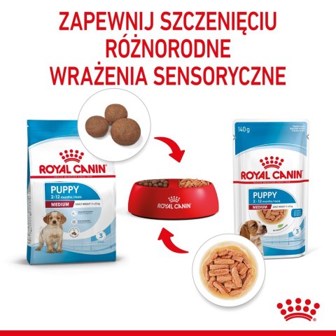 ROYAL CANIN SHN Medium Puppy w sosie - mokra karma dla szczeniąt - 10X140g ROYAL CANIN SHN Medium Puppy w sosie - mokra karma dla szczeniąt - 10X140g