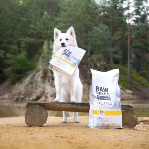 VetExpert Raw Paleo Ultra Indyk Medium&Large Adult 2kg VetExpert Raw Paleo Ultra Indyk Medium&Large Adult 2kg