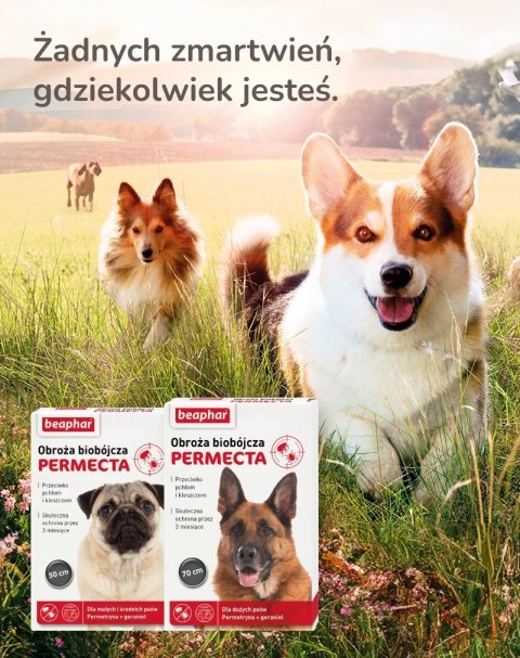 Beaphar obroża biobójcza dla duży pies dług.70cm Beaphar obroża biobójcza dla duży pies dług.70cm