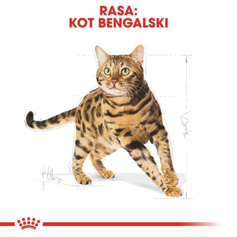 ROYAL CANIN Bengal Adult - sucha karma dla dorosłego kota - 2 kg ROYAL CANIN Bengal Adult - sucha karma dla dorosłego kota - 2 kg
