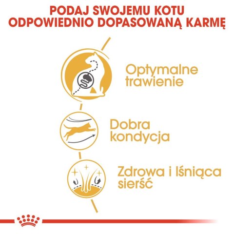 ROYAL CANIN Bengal Adult - sucha karma dla dorosłego kota - 2 kg ROYAL CANIN Bengal Adult - sucha karma dla dorosłego kota - 2 kg