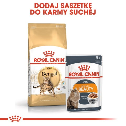 ROYAL CANIN Bengal Adult - sucha karma dla dorosłego kota - 2 kg ROYAL CANIN Bengal Adult - sucha karma dla dorosłego kota - 2 kg