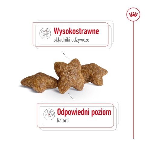 ROYAL CANIN Mini Adult 2kg ROYAL CANIN Mini Adult 2kg
