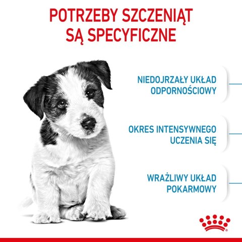 ROYAL CANIN Puppy Mini SHN - sucha karma dla szczeniąt - 8 kg ROYAL CANIN Puppy Mini SHN - sucha karma dla szczeniąt - 8 kg