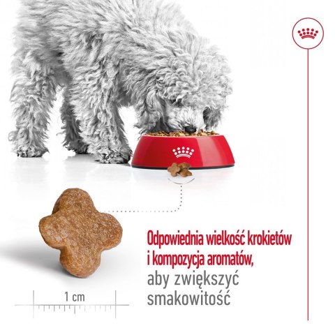 ROYAL CANIN SHN Mini Adult 8+ - sucha karma dla psa dorosłego - 8kg ROYAL CANIN SHN Mini Adult 8+ - sucha karma dla psa dorosłego - 8kg