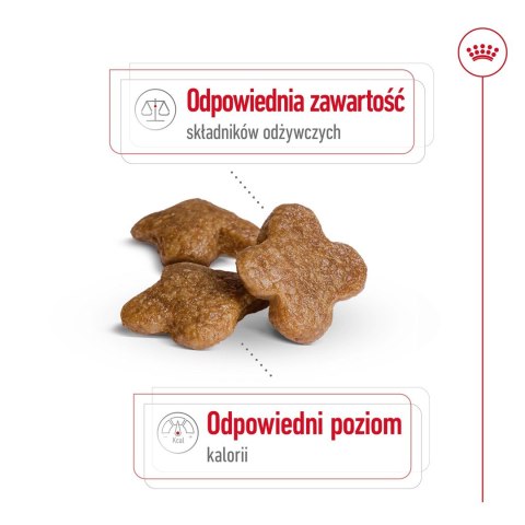 ROYAL CANIN SHN Mini Adult 8+ - sucha karma dla psa dorosłego - 8kg ROYAL CANIN SHN Mini Adult 8+ - sucha karma dla psa dorosłego - 8kg