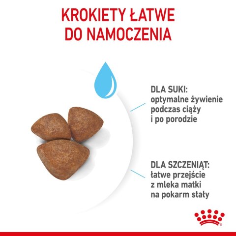 ROYAL CANIN SHN Mini Starter Mother & Babydog - sucha karma dla psa - 4 kg ROYAL CANIN SHN Mini Starter Mother & Babydog - sucha karma dla psa - 4 kg