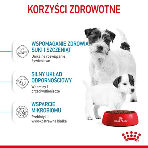 ROYAL CANIN SHN Mini Starter Mother & Babydog - sucha karma dla psa - 4 kg ROYAL CANIN SHN Mini Starter Mother & Babydog - sucha karma dla psa - 4 kg