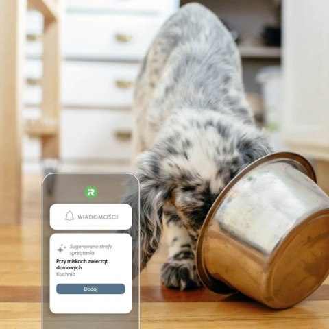 Robot odkurzająco-mopujący iRobot Roomba Combo j9+ (WYPRZEDAŻ) Robot odkurzająco-mopujący iRobot Roomba Combo j9+ (WYPRZEDAŻ)