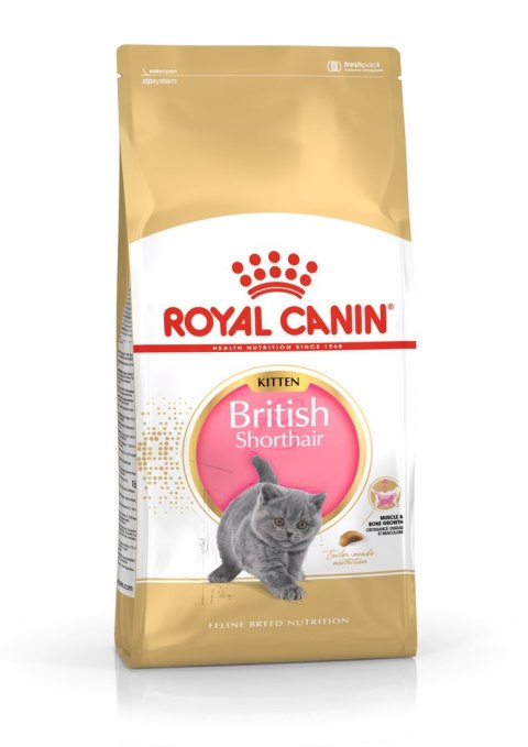 Royal Canin FBN British Shorthair Kitten - sucha karma dla kociąt - 2 kg Royal Canin FBN British Shorthair Kitten - sucha karma dla kociąt - 2 kg