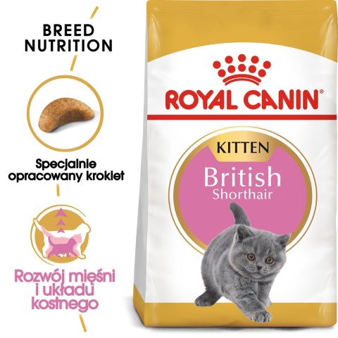 Royal Canin FBN British Shorthair Kitten - sucha karma dla kociąt - 2 kg Royal Canin FBN British Shorthair Kitten - sucha karma dla kociąt - 2 kg