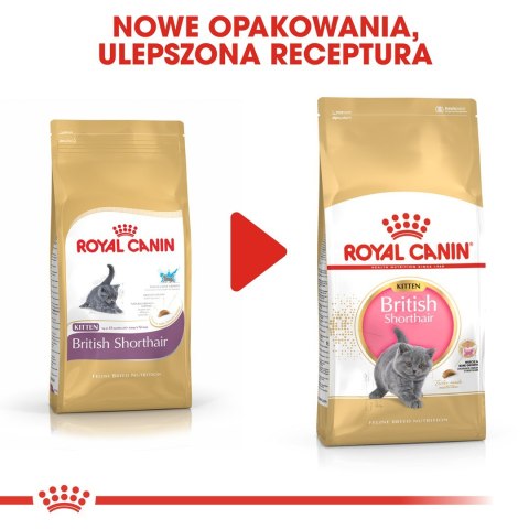 Royal Canin FBN British Shorthair Kitten - sucha karma dla kociąt - 2 kg Royal Canin FBN British Shorthair Kitten - sucha karma dla kociąt - 2 kg