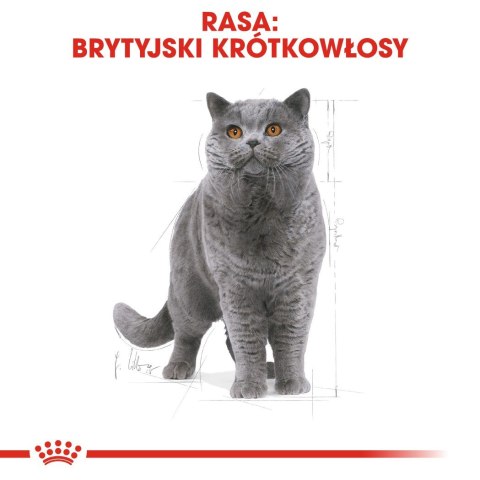 ROYAL CANIN FBN British Shorthair Adult - sucha karma dla dorosłego kota - 4kg ROYAL CANIN FBN British Shorthair Adult - sucha karma dla dorosłego kota - 4kg