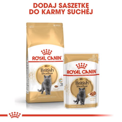 ROYAL CANIN FBN British Shorthair Adult - sucha karma dla dorosłego kota - 4kg ROYAL CANIN FBN British Shorthair Adult - sucha karma dla dorosłego kota - 4kg