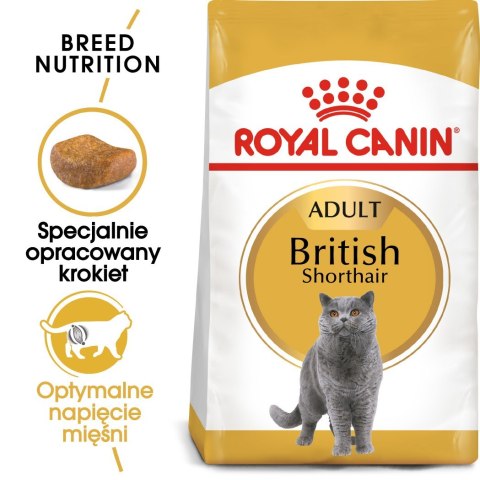 ROYAL CANIN FBN British Shorthair Adult - sucha karma dla dorosłego kota - 4kg ROYAL CANIN FBN British Shorthair Adult - sucha karma dla dorosłego kota - 4kg