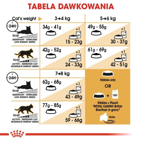 ROYAL CANIN FBN British Shorthair Adult - sucha karma dla dorosłego kota - 4kg ROYAL CANIN FBN British Shorthair Adult - sucha karma dla dorosłego kota - 4kg