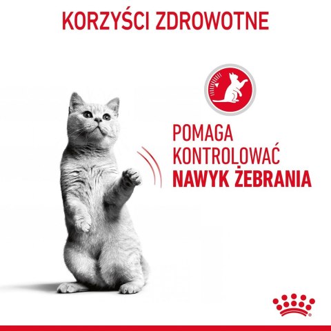 ROYAL CANIN FCN Appetite Control w sosie - mokra karma dla kota dorosłego - 12x85g ROYAL CANIN FCN Appetite Control w sosie - mokra karma dla kota dorosłego - 12x85g