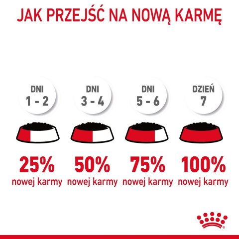 ROYAL CANIN FCN Appetite Control w sosie - mokra karma dla kota dorosłego - 12x85g ROYAL CANIN FCN Appetite Control w sosie - mokra karma dla kota dorosłego - 12x85g