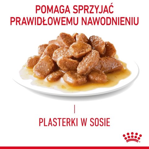 ROYAL CANIN FCN Appetite Control w sosie - mokra karma dla kota dorosłego - 12x85g ROYAL CANIN FCN Appetite Control w sosie - mokra karma dla kota dorosłego - 12x85g