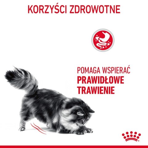 ROYAL CANIN FCN Digestive Care - sucha karma dla kota dorosłego - 4 kg ROYAL CANIN FCN Digestive Care - sucha karma dla kota dorosłego - 4 kg