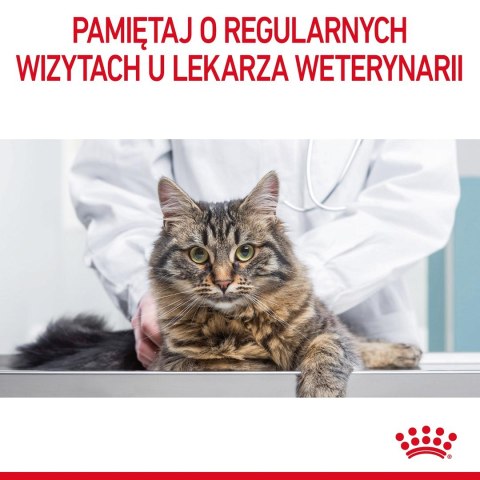 ROYAL CANIN FCN Digestive Care - sucha karma dla kota dorosłego - 4 kg ROYAL CANIN FCN Digestive Care - sucha karma dla kota dorosłego - 4 kg