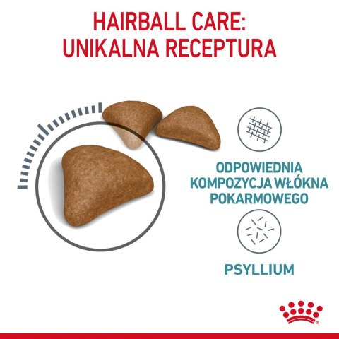 ROYAL CANIN FCN Hairball Care - sucha karma dla kota dorosłego - 10 kg ROYAL CANIN FCN Hairball Care - sucha karma dla kota dorosłego - 10 kg