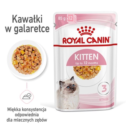 ROYAL CANIN FHN Kitten Instinctive in Jelly - mokra karma dla kociąt - 12x85g ROYAL CANIN FHN Kitten Instinctive in Jelly - mokra karma dla kociąt - 12x85g
