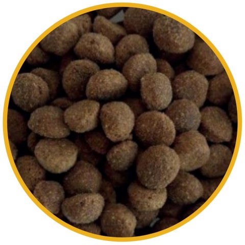 BIOFEED TASTY LIFE - karma sucha dla dorosłych psów średnich i dużych ras z kurczakiem 15kg BIOFEED TASTY LIFE - karma sucha dla dorosłych psów średnich i dużych ras z kurczakiem 15kg