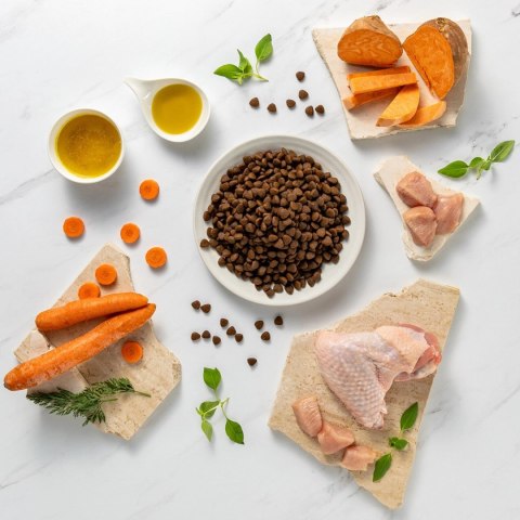 VetExpert Raw Paleo Ultra Indyk Medium&Large Puppy 2kg VetExpert Raw Paleo Ultra Indyk Medium&Large Puppy 2kg