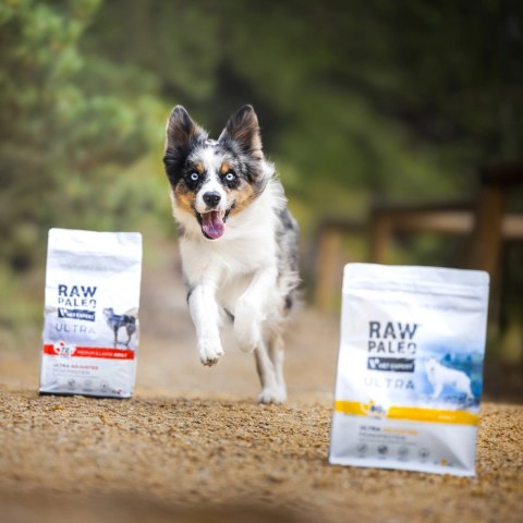 VetExpert Raw Paleo Ultra Indyk Medium&Large Puppy 2kg VetExpert Raw Paleo Ultra Indyk Medium&Large Puppy 2kg