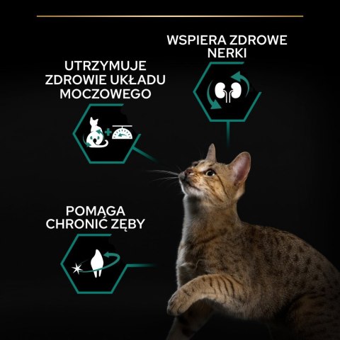 PURINA PRO PLAN STERILISED Renal Plus Indyk 400g PURINA PRO PLAN STERILISED Renal Plus Indyk 400g
