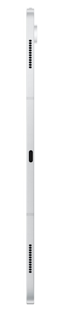 Samsung Galaxy Tab S10 Ultra (X926) WiFi+5G 12/256GB Silver Samsung Galaxy Tab S10 Ultra (X926) WiFi+5G 12/256GB Silver