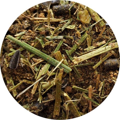 BioFeed Horse&Pony Active Musli grain free - musli dla koni sportowych bezzbożowe 20kg BioFeed Horse&Pony Active Musli grain free - musli dla koni sportowych bezzbożowe 20kg