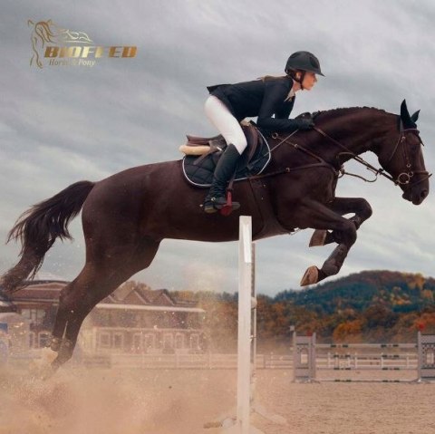 BioFeed Horse&Pony Active Musli grain free - musli dla koni sportowych bezzbożowe 20kg BioFeed Horse&Pony Active Musli grain free - musli dla koni sportowych bezzbożowe 20kg