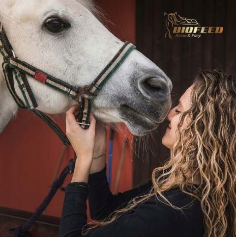 BioFeed Horse&Pony Active Musli grain free - musli dla koni sportowych bezzbożowe 20kg BioFeed Horse&Pony Active Musli grain free - musli dla koni sportowych bezzbożowe 20kg