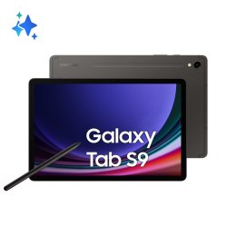 Samsung Galaxy Tab S9 11.0 (X716) 5G 12/256GB Grey