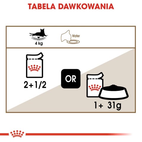 ROYAL CANIN FHN Ageing 12+ w galaretce - mokra karma dla kota starszego - 12x85g ROYAL CANIN FHN Ageing 12+ w galaretce - mokra karma dla kota starszego - 12x85g