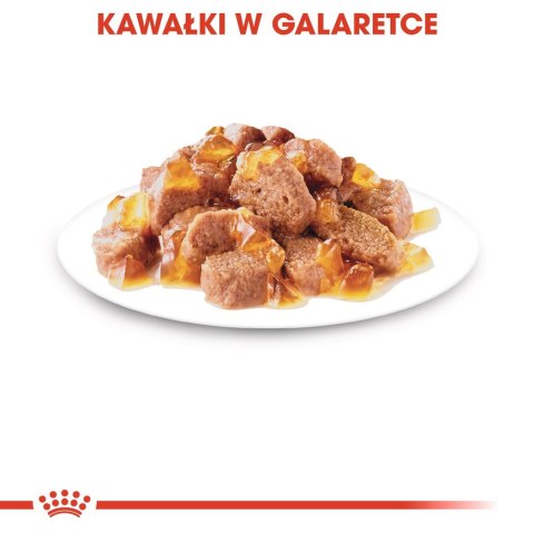 ROYAL CANIN FHN Ageing 12+ w galaretce - mokra karma dla kota starszego - 12x85g ROYAL CANIN FHN Ageing 12+ w galaretce - mokra karma dla kota starszego - 12x85g
