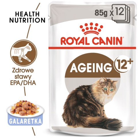 ROYAL CANIN FHN Ageing 12+ w galaretce - mokra karma dla kota starszego - 12x85g ROYAL CANIN FHN Ageing 12+ w galaretce - mokra karma dla kota starszego - 12x85g