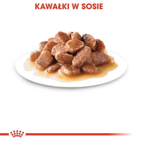 ROYAL CANIN FHN Instinctive w sosie - mokra karma dorosłych kotów - 12x 85 g ROYAL CANIN FHN Instinctive w sosie - mokra karma dorosłych kotów - 12x 85 g
