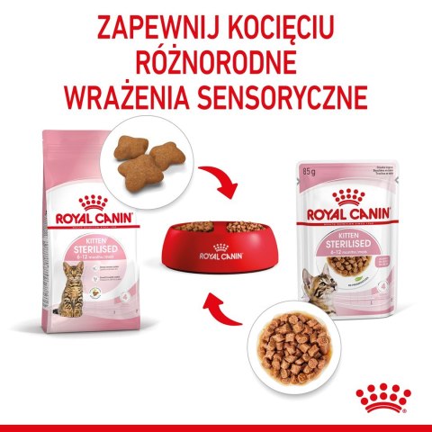 ROYAL CANIN FHN Kitten Sterilised w sosie - mokra karma dla kociąt - 12x85 g ROYAL CANIN FHN Kitten Sterilised w sosie - mokra karma dla kociąt - 12x85 g