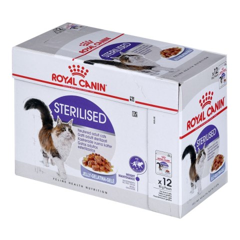 ROYAL CANIN FHN Sterilised w galaretce - mokra karma dla kota dorosłego - 12x85g ROYAL CANIN FHN Sterilised w galaretce - mokra karma dla kota dorosłego - 12x85g