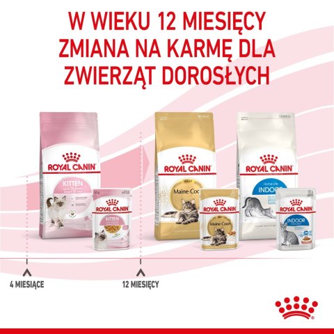Royal Canin FHN Kitten Instinctive w galaretce - mokra karma dla kociąt - 12x85g Royal Canin FHN Kitten Instinctive w galaretce - mokra karma dla kociąt - 12x85g