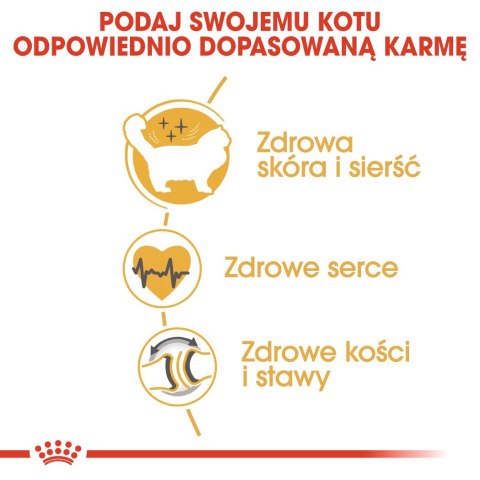 Karma Royal Canin FBN Ragdoll (0,40 kg ) Karma Royal Canin FBN Ragdoll (0,40 kg )