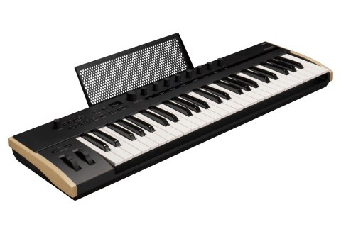 Korg KEYSTAGE 49 - Klawiatura sterująca Korg KEYSTAGE 49 - Klawiatura sterująca