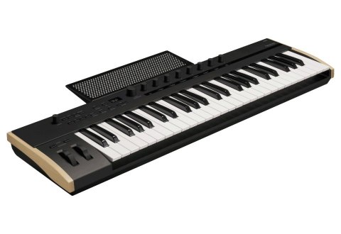 Korg KEYSTAGE 49 - Klawiatura sterująca Korg KEYSTAGE 49 - Klawiatura sterująca