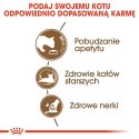 ROYAL CANIN Ageing +12 0,4kg