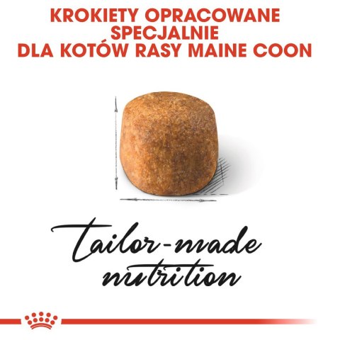 ROYAL CANIN FBN Maine Coon Adult - sucha karma dla dorosłego kota - 10kg ROYAL CANIN FBN Maine Coon Adult - sucha karma dla dorosłego kota - 10kg
